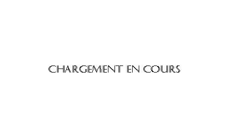 Statistiques site internet